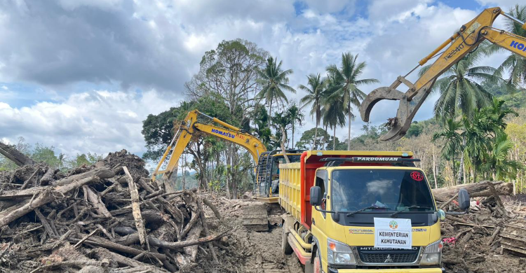 Gotong Royong Lintas Pihak  Kemenhut Bersihkan Kayu Limbah Bencana Sumatera