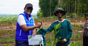 Pertamina Peringati Hari Jadi dengan Penghijauan Ratusan Hektare Lahan