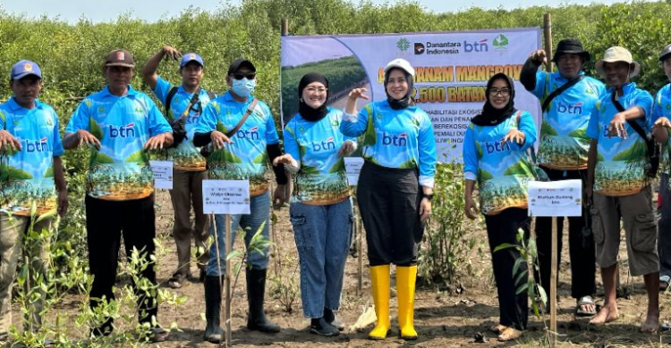 Yayasan KEHATI Dan BTN Tanam 7 500 Mangrove Di 3 Wilayah Pesirir Indonesia