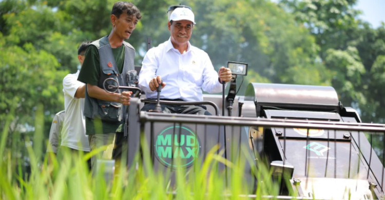 Cadangan Melimpah Indonesia Siap Ekspor Beras