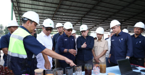 Transformasi PalmCo Dinilai Perkuat Kemandirian Pangan dan Energi Nasional