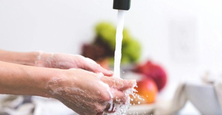 Wabah Nipah Merebak Di India  8 Fakta Penting Yang Perlu Diketahui