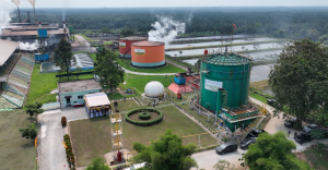 ROA PalmCo Tembus 7 9 Persen  Aset BUMN Makin Produktif