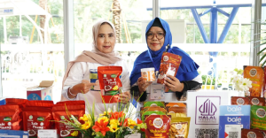 Kisah PNM Berdayakan Ibu Ibu Prasejahtera Hingga Juara Nasional Lewat Mekaarpreneur