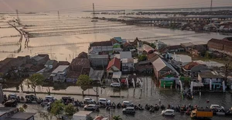 Ubah Rob Jadi Peluang  Demak Didorong Jadi Pusat Ekonomi Pesisir