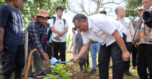 Menteri Jumhur Bersama KPA Tanam 1000 Pohon di Cianjur