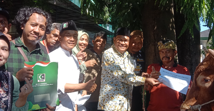 MN KAHMI Potong 23 Hewan Kurban  Sapi Bantuan Prabowo Capai 800 Kilogram