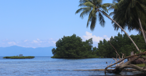Wacana Tambang di Pulau Kecil Perlu Mengacu Aturan dan Tata Ruang