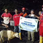 Brantas Abipraya Salurkan 210 Hewan Kurban untuk Masyarakat