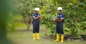 MIND ID Reklamasi 8 000 Hektare Lahan  Pulihkan Biodiversitas