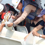PLN Indonesia Power Tebar 100 000 Bibit Ikan  Perkuat Ketahanan Pangan