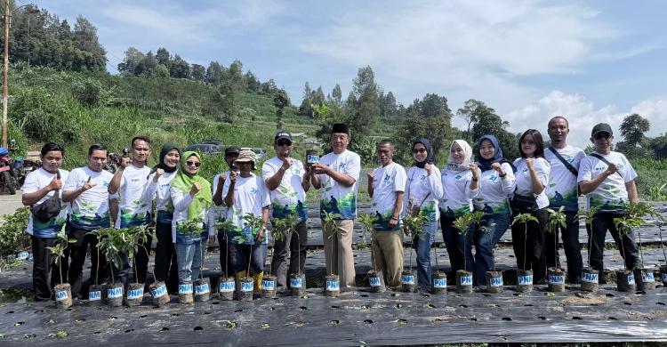 PNM Tanam 27 000 Pohon  Perkuat Pemberdayaan dan Kelestarian Lingkungan