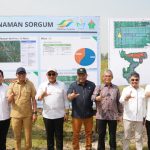 PTPN I Siapkan Lahan Sorgum  Dukung Penuh Percepatan Ketahanan Energi Nasional