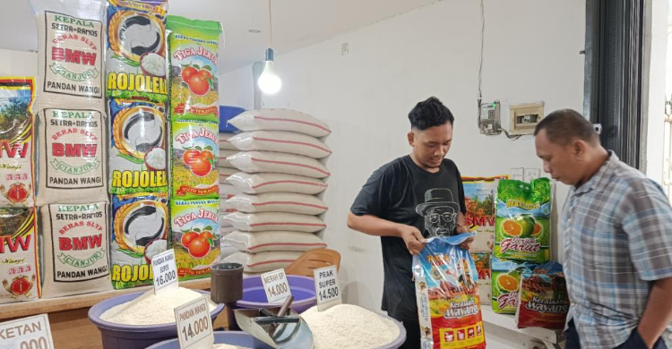 BPS Ungkap Anomali Stok Beras Melimpah Harganya Naik Kesejahteraan Petani Turun