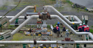 Pengamat  Diversifikasi Energi Kunci Mitigasi Risiko Blackout
