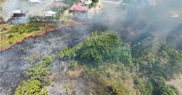 BNPB Catat Karhutla Di 4 Daerah 16 Hektare Lahan Terbakar