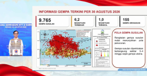 Gempa Susulan Flores Nyaris 10 000  BNPB  Aktivitas Mulai Menurun