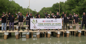Menarini Indonesia Tanam 1 600 Mangrove di Pesisir Jawa Barat dan Jakarta