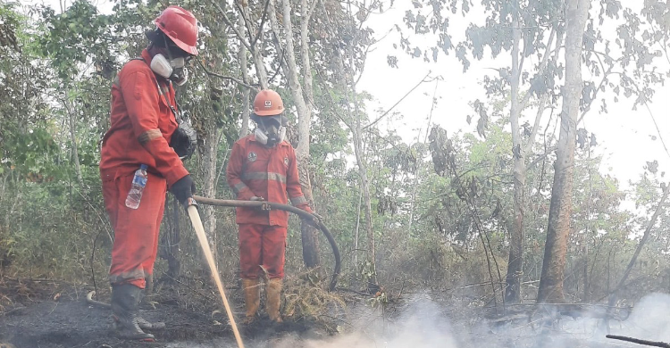 Pemerintah Optimalkan Modifikasi Cuaca Jinakkan Karhutla Di Kalimantan